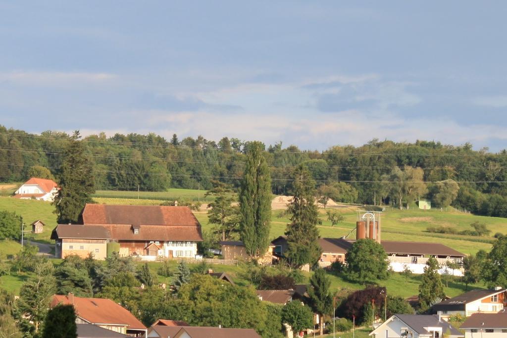 Hof Oberprehl Apartment Murten Luaran gambar